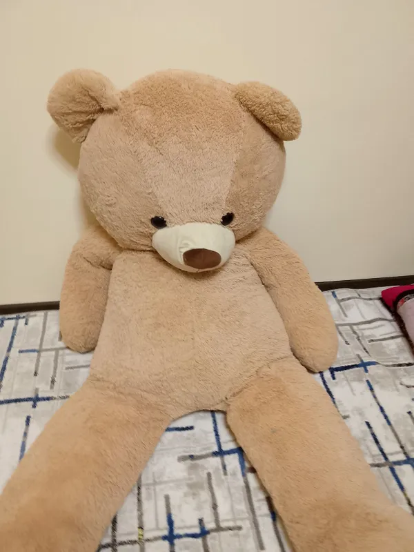 ayiqcha tez arzon narxlarda beraman 2 ayiqcha tez arzon narxlarda beraman 2