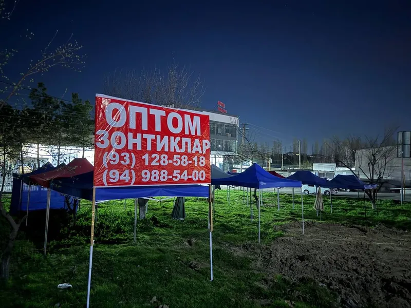 Navis ZONTIK arinda Toshkent viloyati Toshkent shahari