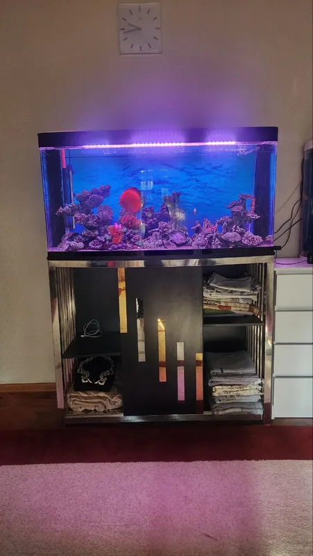 baliqlar bilan akvarium 2 baliqlar bilan akvarium 2