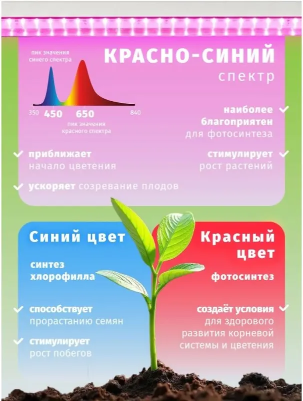 Фитолампа линейная для растений 10 Вт красно-синего спектра NAVIGATOR — фото 1
