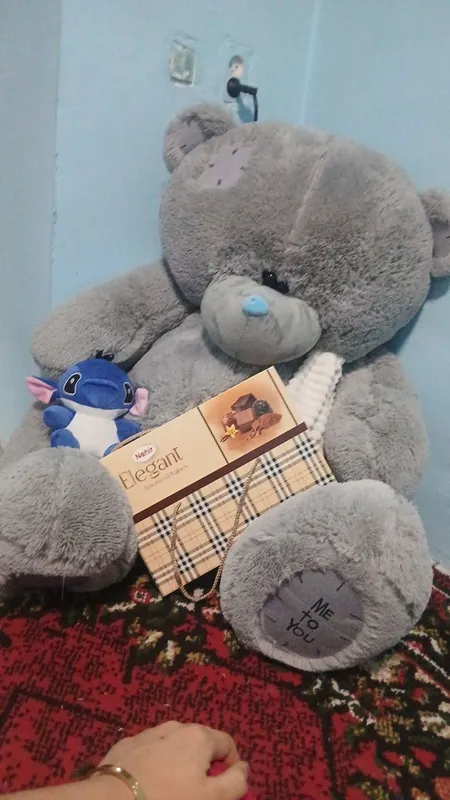 tediy ayiqcha sotiladi narxi 700 ming sotaman...l