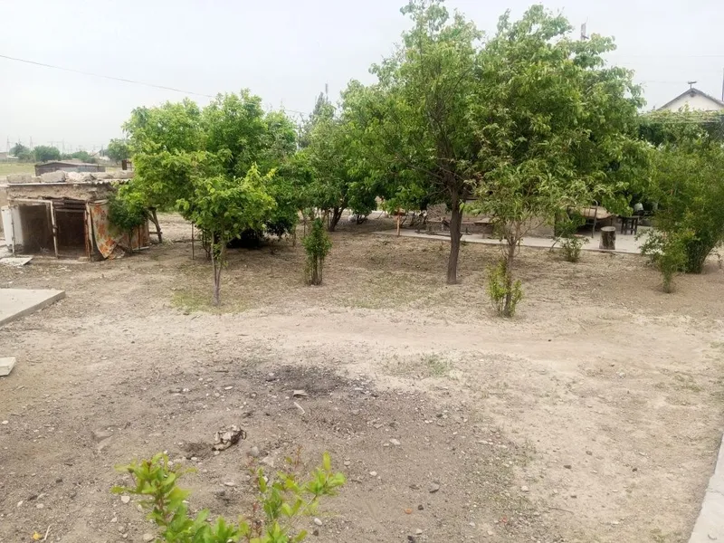 Dacha sotiladi Toshkent viloyati Bekobod shaxar