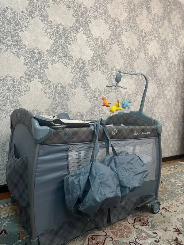 Манеж