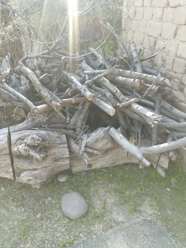 Продаю Дрова мевали — фото 3