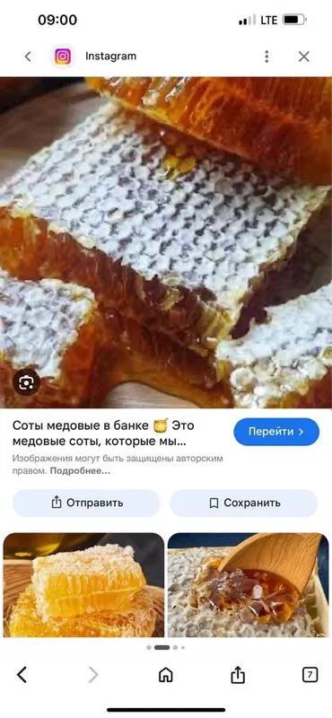 Мед горный натуральный оптом из пасеки в сотах 3 Мед горный натуральный оптом из пасеки в сотах 3