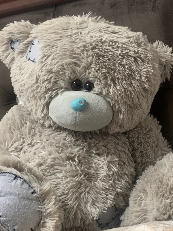 Teddiy ayiqcha 1