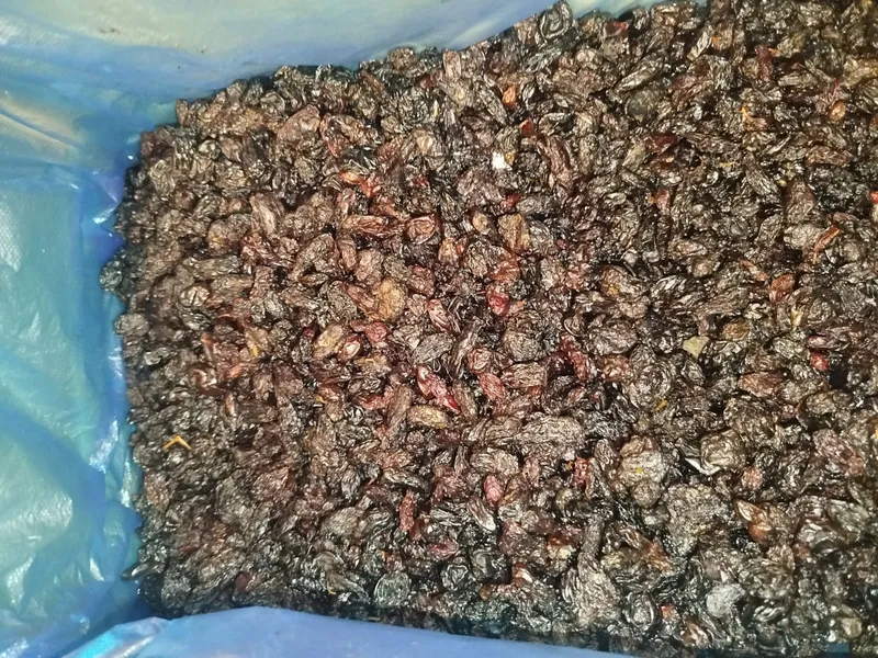 Закатока,чирик майиз. 2 Закатока,чирик майиз. 2
