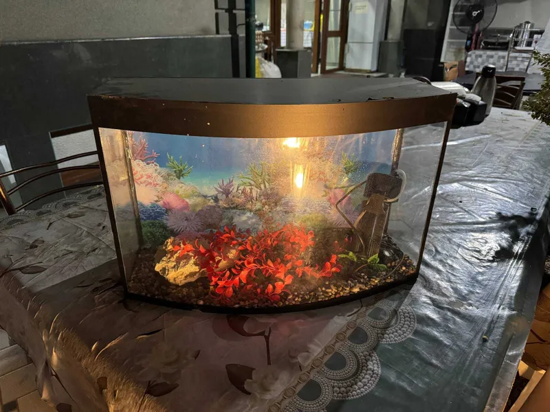 Akvarium, baliqlar uchun 1 Akvarium, baliqlar uchun 1