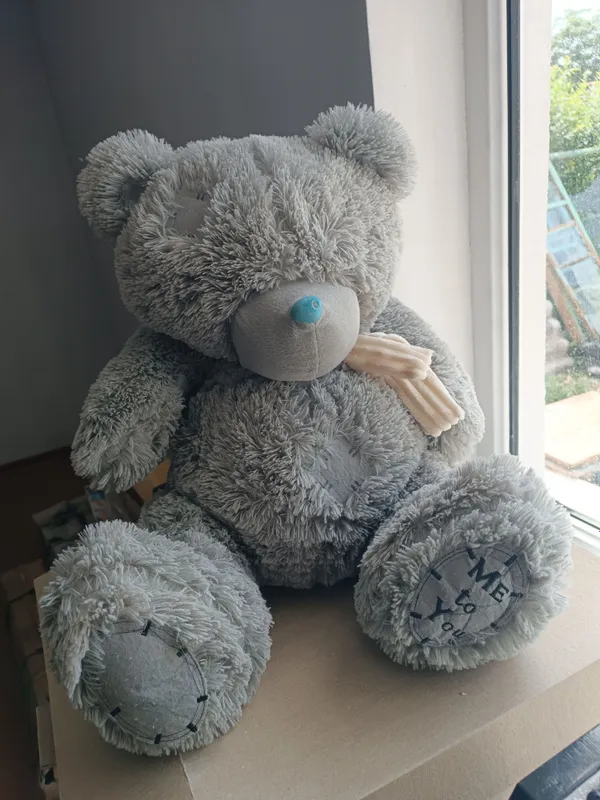 teddy