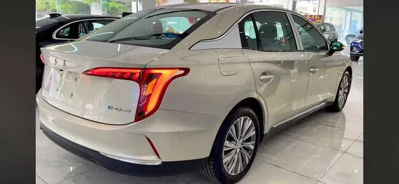 byd Hongqie E qm5 450 dan 610 kmgaca bor — фото 4