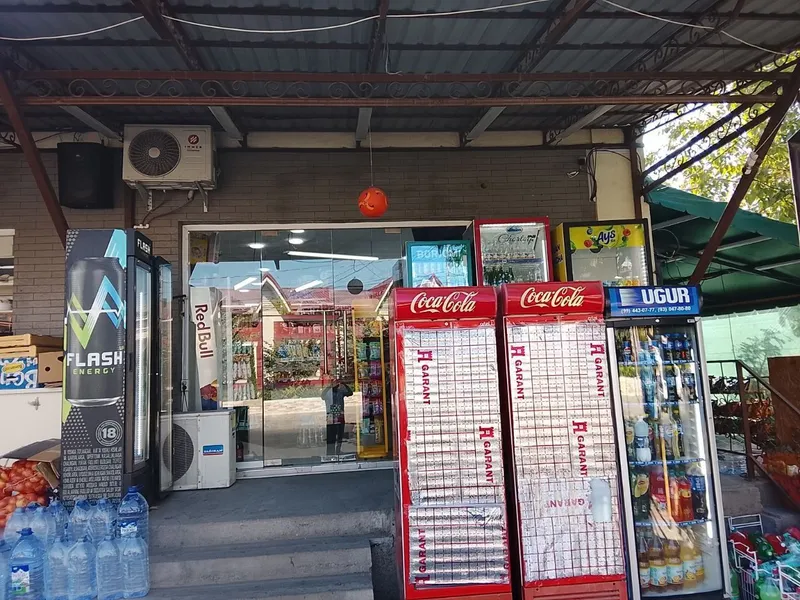 Uctepa Istiroxattan Arendaga joy bor 40kv 3