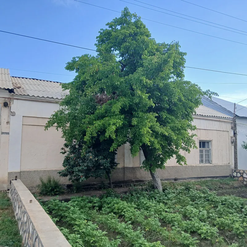 eski bino sotiladi 60 kv m ziyodroq buxoroda — фото 1