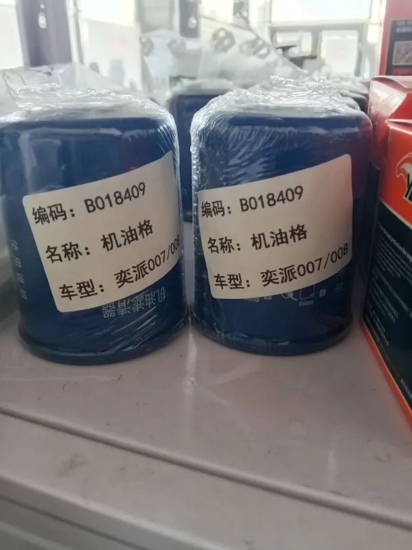 Maslenniy Filtr Dongfeng EP 008