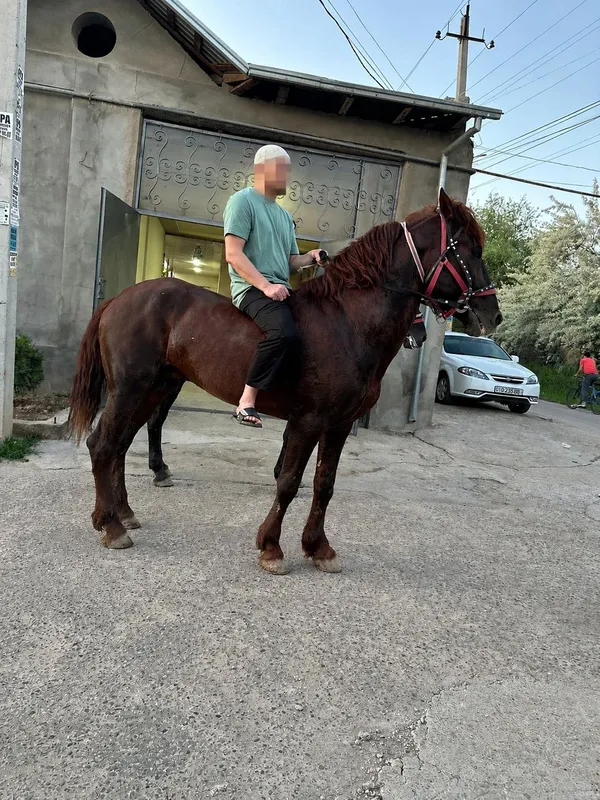 Otimiz sotiladi 9 yoshda