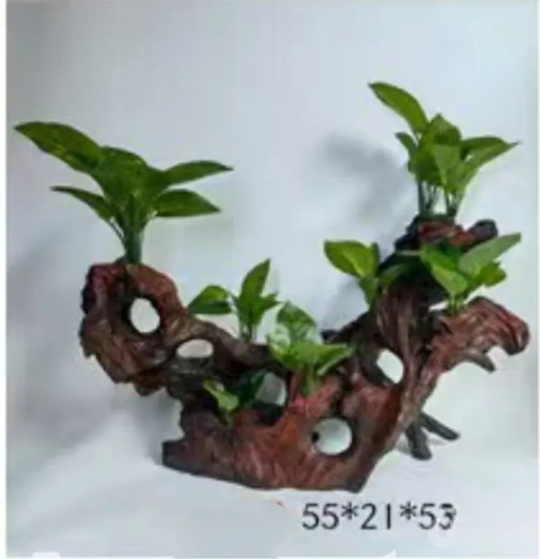 Akvarium uchun dekoratsiyalar. 5 Akvarium uchun dekoratsiyalar. 5