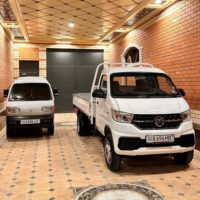 TM 04 Dongfeng D50