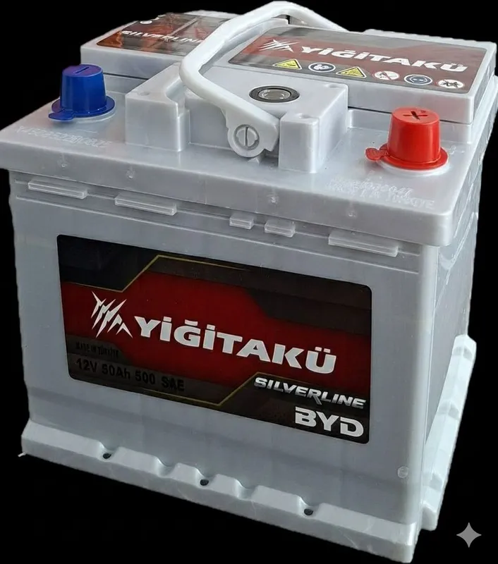 Акумулятор для BYD / Akumulyator BYD EFB AGM GEL