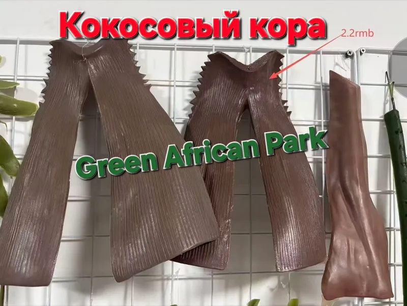Пальмовые листья palma barglari 2