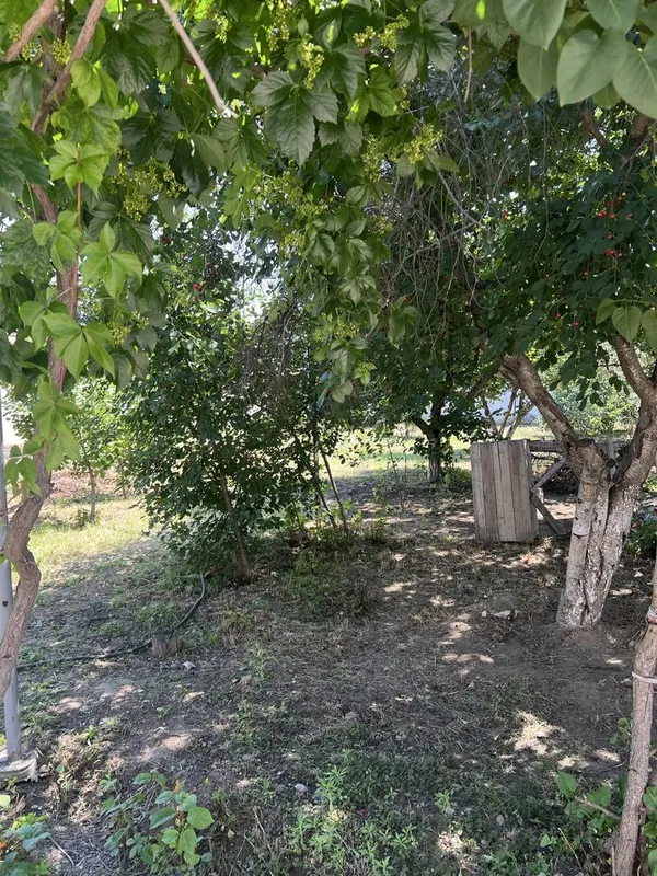 Xovli sotiladi 8 sotk