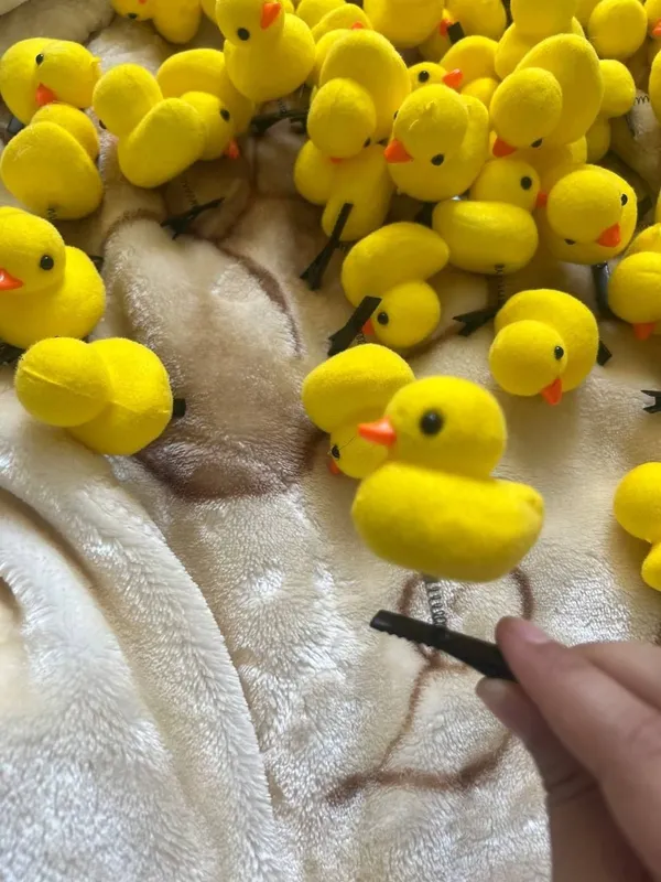 Прищепки с корзинкой 2 Прищепки с корзинкой 2
