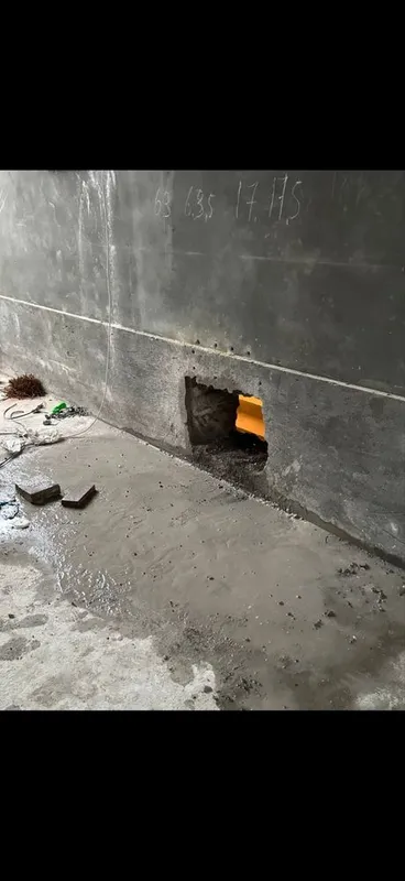 Biton teshish xizmati almazniy karonkada tez va sifatli