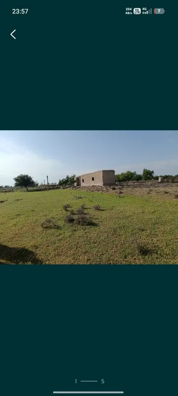Uy sotiladi Buxoro viloyat Shofirkon tumani Gulistonqishlogʻida32sotix 3 Uy sotiladi Buxoro viloyat Shofirkon tumani Gulistonqishlogʻida32sotix 3