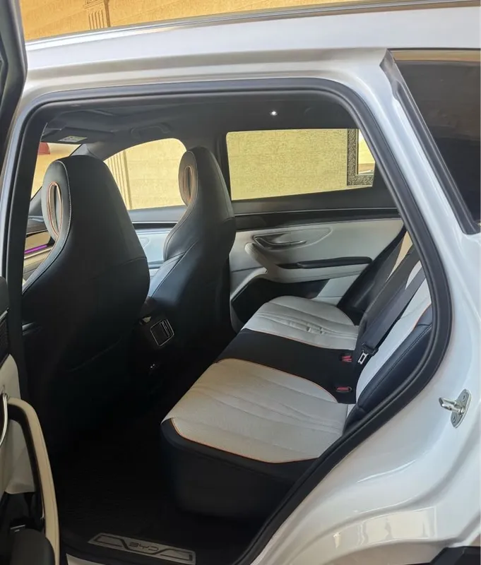 Byd song plus dm i gibrid 110 tali 2 pozitsiya 6