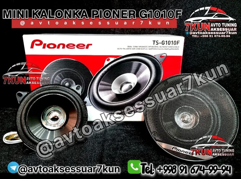 Pioneer TS-G1010F avto audio aparatura
