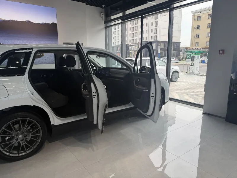 Leapmotor C10 hybrid — фото 4