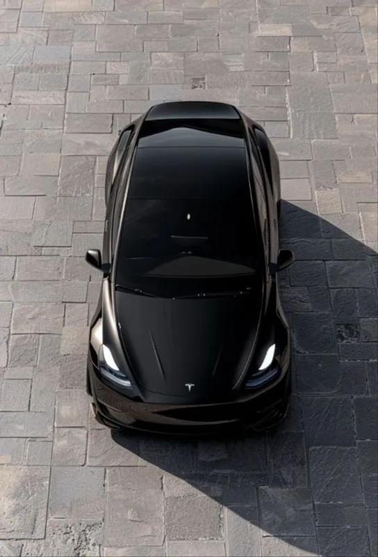Tesla Model Y Standart — фото 1