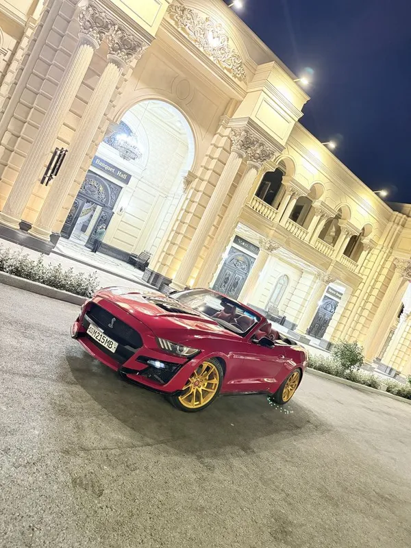 Sotiladi Ford Mustank