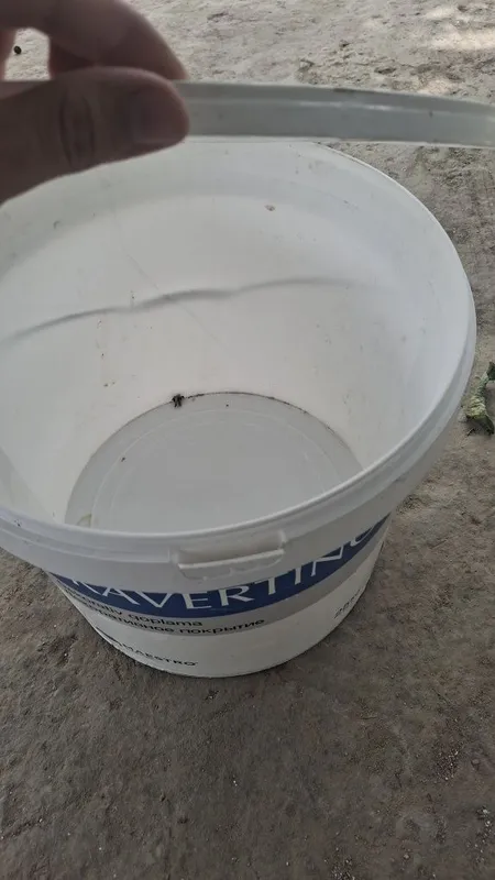Chelak 25 kglik mustahkam 4 Chelak 25 kglik mustahkam 4