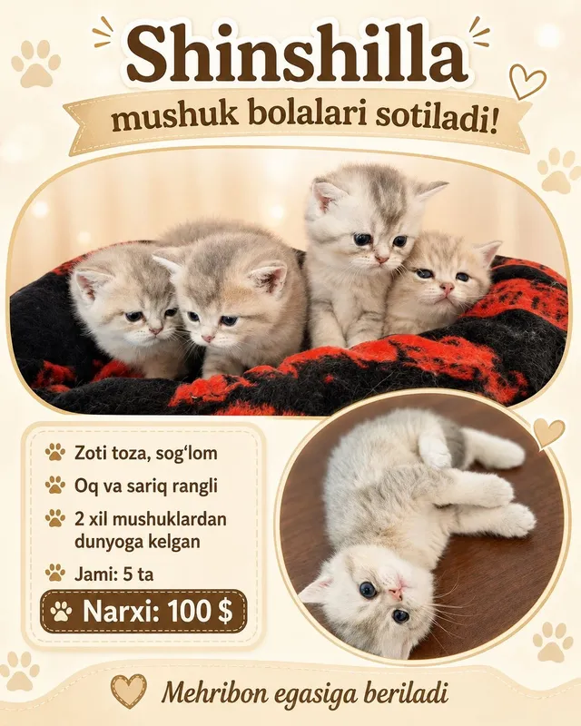Котёнки 2