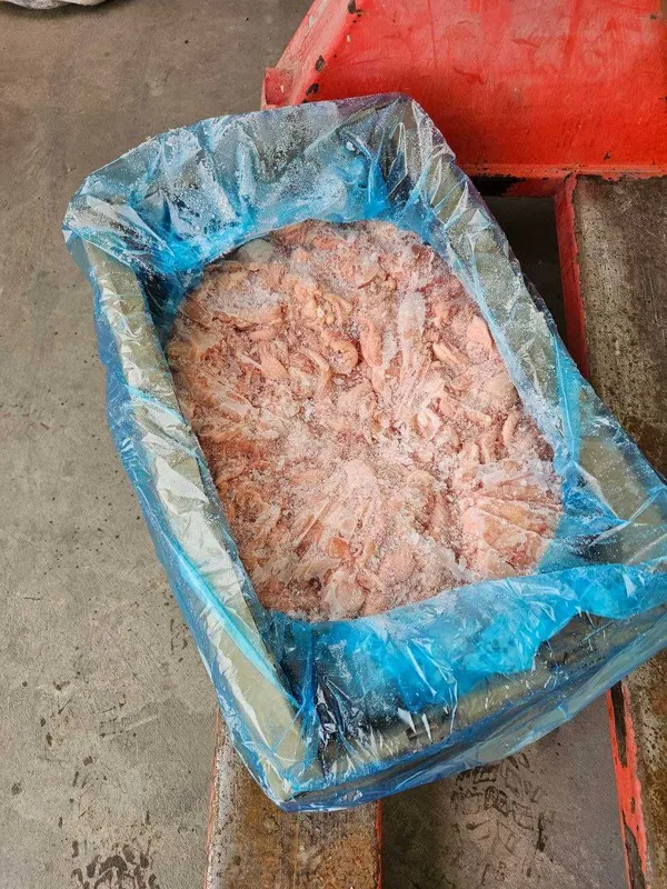 Кожа грудки ЦБ замороженная (шкура, terisi) Кожа грудки ЦБ замороженная (шкура, terisi)