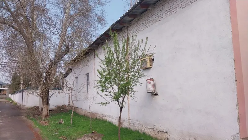 Tadbirkorlik va yashash uchun 10 sutuģ er maydoni va 4 xonali bino — фото 2