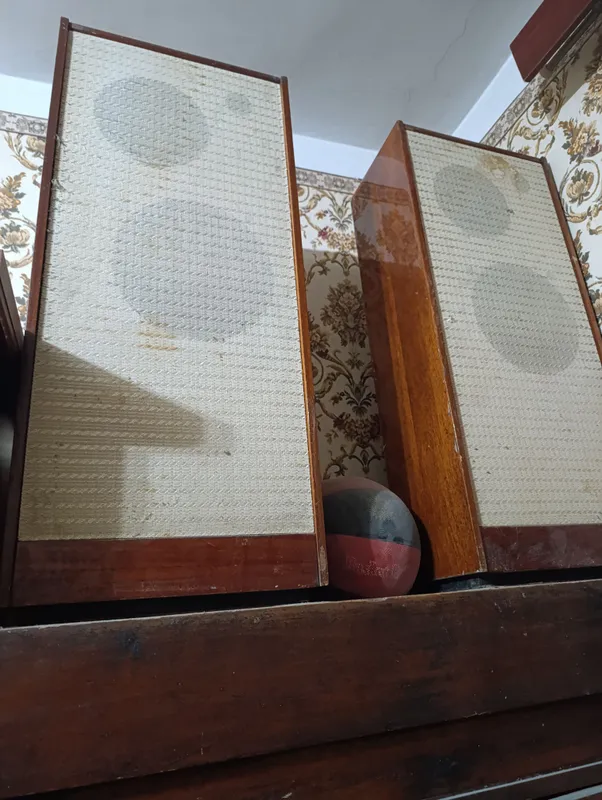 Karnaylar korpuslarini sotaman Karnaylar korpuslarini sotaman