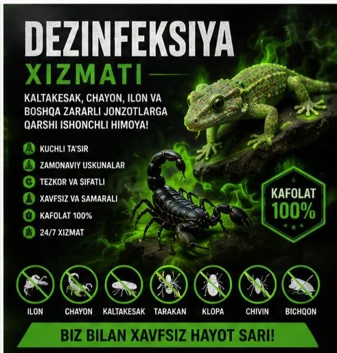 Dezinfeksiya ilon chayon kaltakesak 24/7