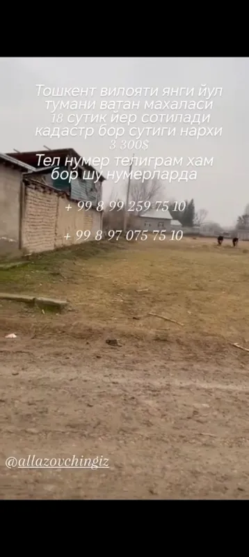 Кадастр хужати бор 6