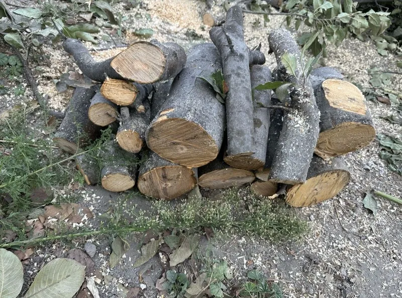 O'tin sotiladi .