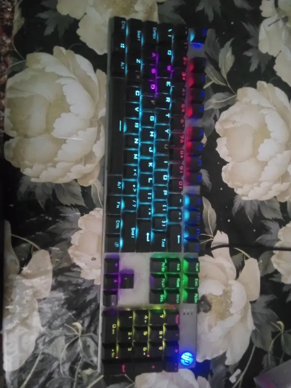HP 1 HP 1