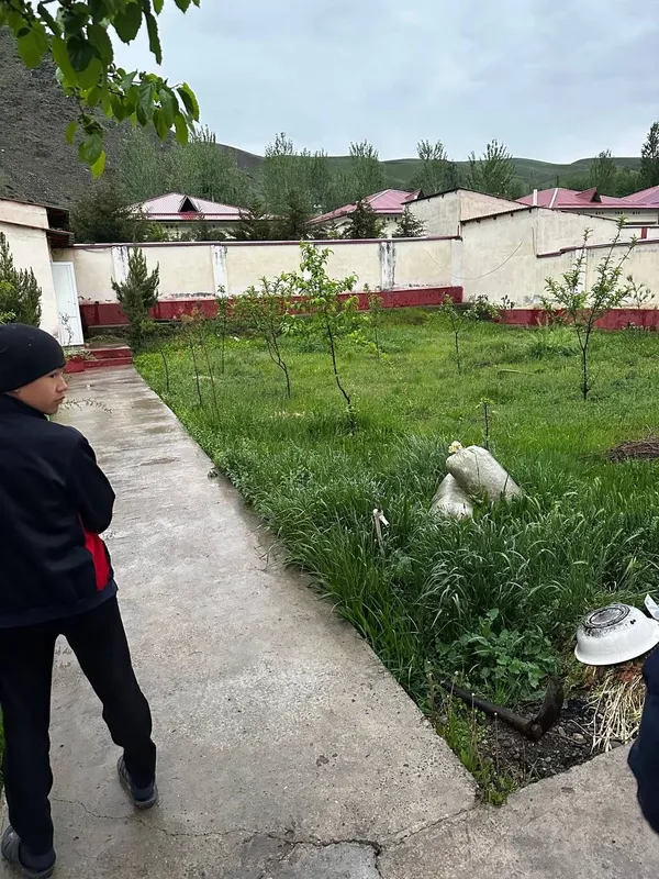 Коттедж, дача сотилади — фото 1