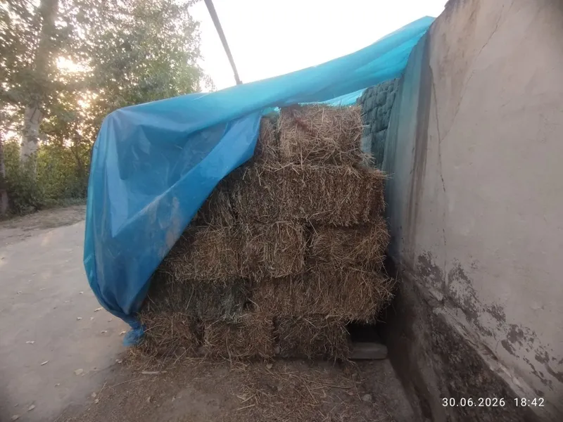 Беда пресс сотилади 2