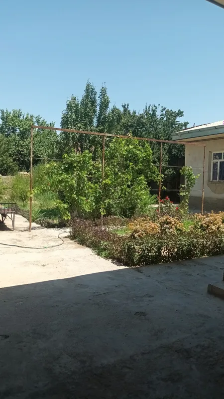 Жиззах шахарда СРОЧНО ховли уй сотилади 4 Жиззах шахарда СРОЧНО ховли уй сотилади 4