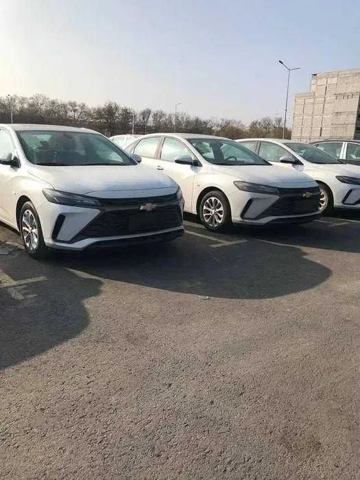 Monza rassrochkaga bor