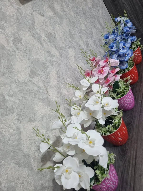 Цветы 2
