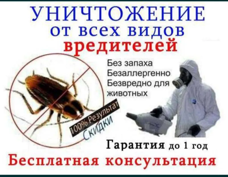 Дезинфекция клопов, тараканов и всех насекомых — фото 1 Дезинфекция клопов, тараканов и всех насекомых — фото 1