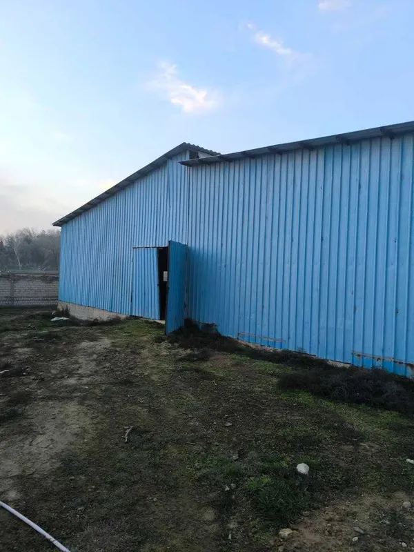Ферма, 1,5 геткар, 3000 квадрат бино. Тошкент шахри 12 км. — фото 5