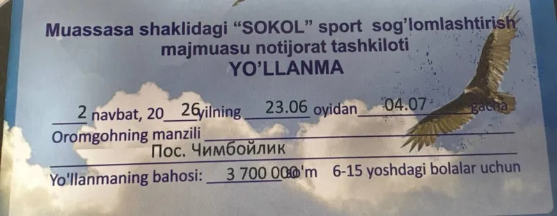 Лагерь Сокол 2 смена