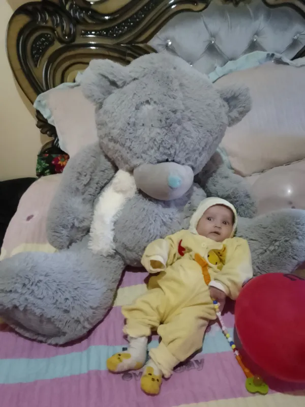 teddy ayiq sotiladi 300 ming katta juda yangi teddy ayiq sotiladi 300 ming katta juda yangi