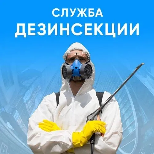 Дезинсекция, с гарантией до 1 года 1